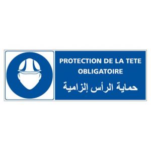 Panneaux PROTECTION DE LA TETE FRANÇAIS ARABE (E0528FM)