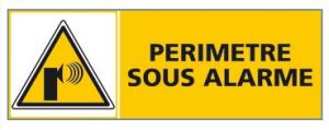 PERIMETRE SOUS ALARME (C0438)