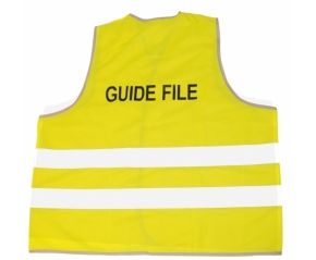 Guide File