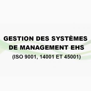 Gestion des Systèmes de management EHS (ISO 9001, 14001 et 45001)