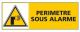 PERIMETRE SOUS ALARME (C0438)