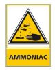 AMMONIAC (C0506)