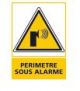 PERIMETRE SOUS ALARME (C0658)