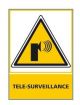 TELE-SURVEILLANCE (C0687)