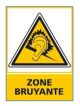 ZONE BRUYANTE (C0695)