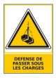 DEFENSE DE PASSER SOUS LES CHARGES (C0628)