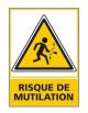 RISQUE DE MUTILATION (C0678)